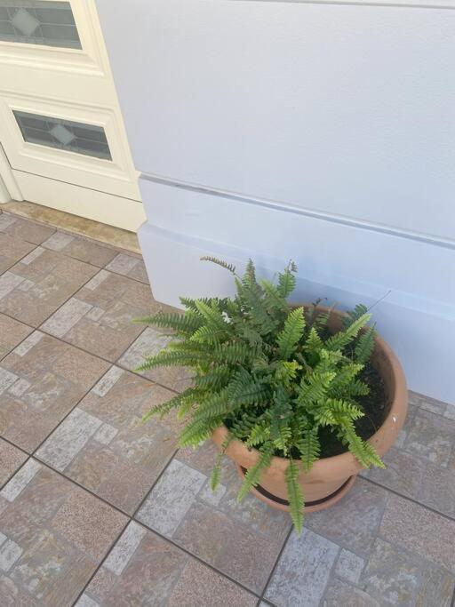 New Lovely Apartment In Heraklion Exterior foto
