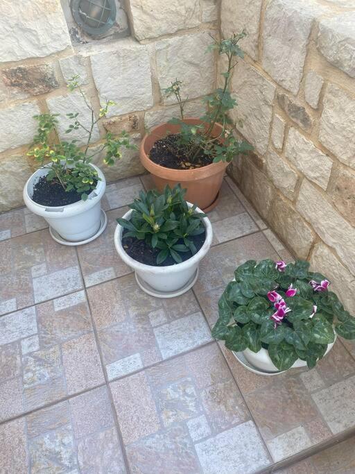 New Lovely Apartment In Heraklion Exterior foto